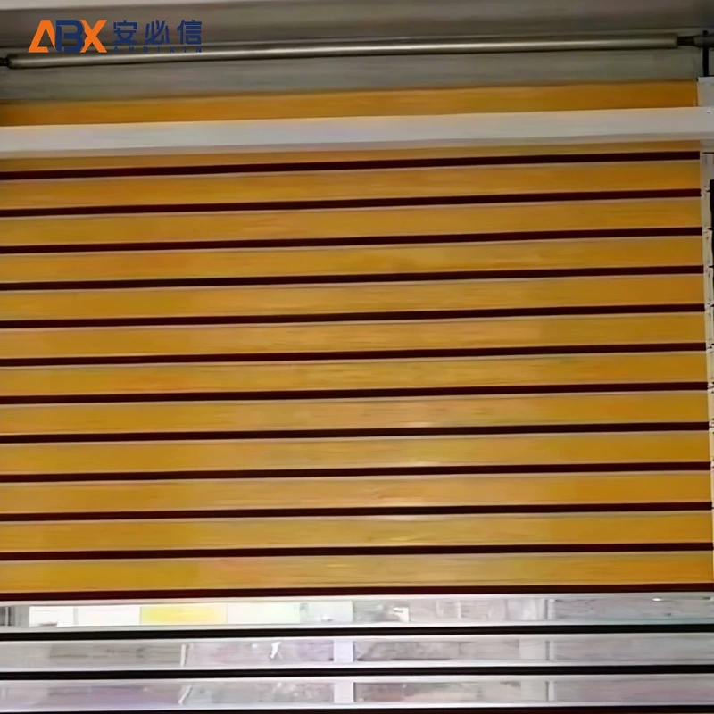 湛江市感应高速门